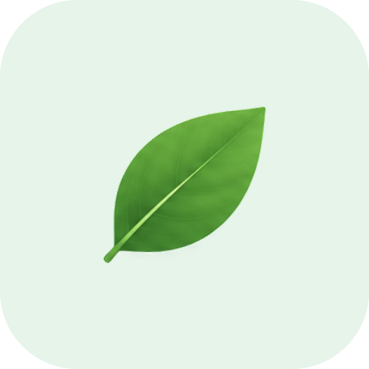 Clear leaf